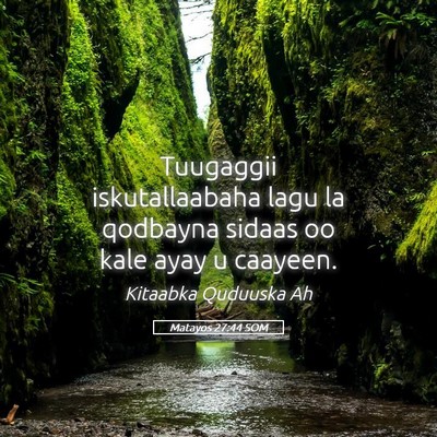 Picture 05 - Matayos 27:44 SOM - Tuugaggii iskutallaabaha lagu la qodbayna sidaas - Bible Verse Picture