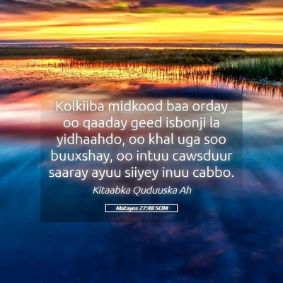 Picture 05 - Matayos 27:48 SOM - Kolkiiba midkood baa orday oo qaaday geed isbonji - Bible Verse Picture