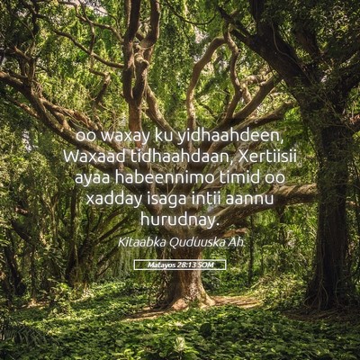 Picture 05 - Matayos 28:13 SOM - oo waxay ku yidhaahdeen, Waxaad tidhaahdaan, - Bible Verse Picture