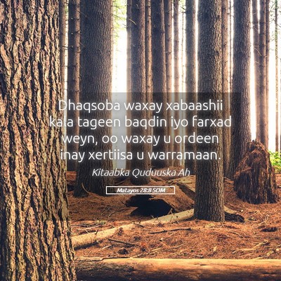 Picture 05 - Matayos 28:8 SOM - Dhaqsoba waxay xabaashii kala tageen baqdin iyo - Bible Verse Picture