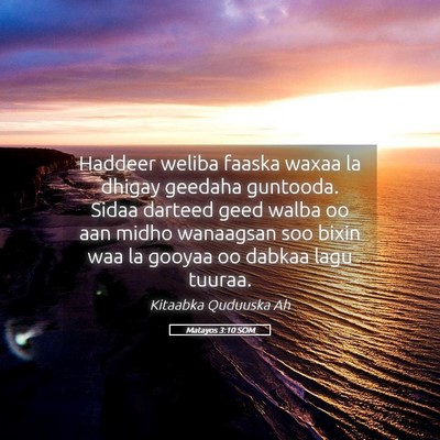 Picture 05 - Matayos 3:10 SOM - Haddeer weliba faaska waxaa la dhigay geedaha - Bible Verse Picture