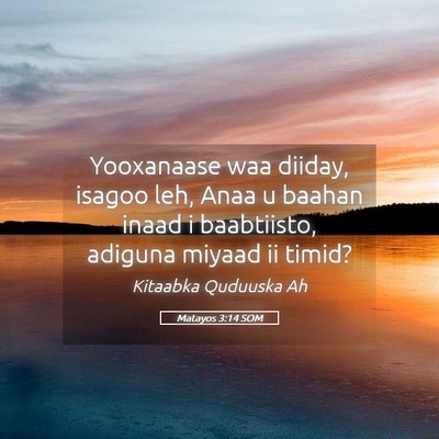 Picture 05 - Matayos 3:14 SOM - Yooxanaase waa diiday, isagoo leh, Anaa u baahan - Bible Verse Picture