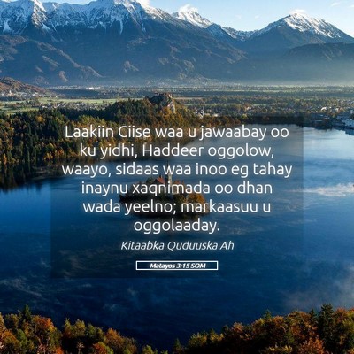 Picture 05 - Matayos 3:15 SOM - Laakiin Ciise waa u jawaabay oo ku yidhi, Haddeer - Bible Verse Picture