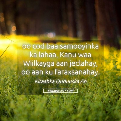 Picture 05 - Matayos 3:17 SOM - oo cod baa samooyinka ka lahaa, Kanu waa - Bible Verse Picture
