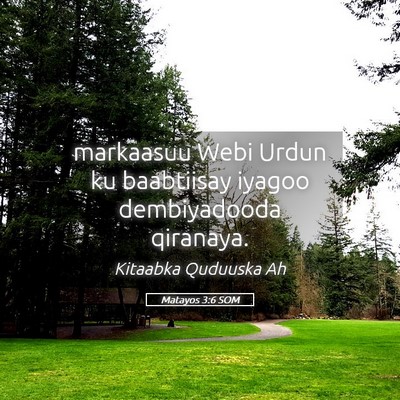 Picture 05 - Matayos 3:6 SOM - markaasuu Webi Urdun ku baabtiisay iyagoo - Bible Verse Picture