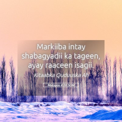 Picture 05 - Matayos 4:20 SOM - Markiiba intay shabagyadii ka tageen, ayay - Bible Verse Picture