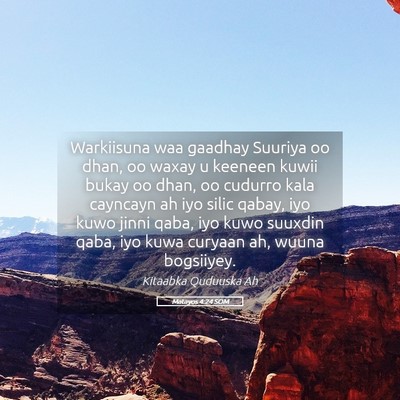 Picture 05 - Matayos 4:24 SOM - Warkiisuna waa gaadhay Suuriya oo dhan, oo waxay - Bible Verse Picture