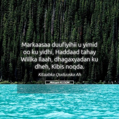 Picture 05 - Matayos 4:3 SOM - Markaasaa duufiyihii u yimid oo ku yidhi, Haddaad - Bible Verse Picture