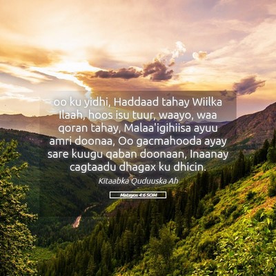 Picture 05 - Matayos 4:6 SOM - oo ku yidhi, Haddaad tahay Wiilka Ilaah, hoos isu - Bible Verse Picture