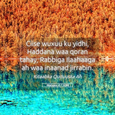 Picture 05 - Matayos 4:7 SOM - Ciise wuxuu ku yidhi, Haddana waa qoran tahay, - Bible Verse Picture