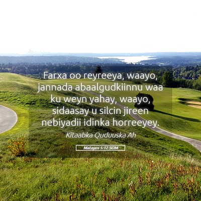 Picture 05 - Matayos 5:12 SOM - Farxa oo reyreeya, waayo, jannada abaalgudkiinnu - Bible Verse Picture