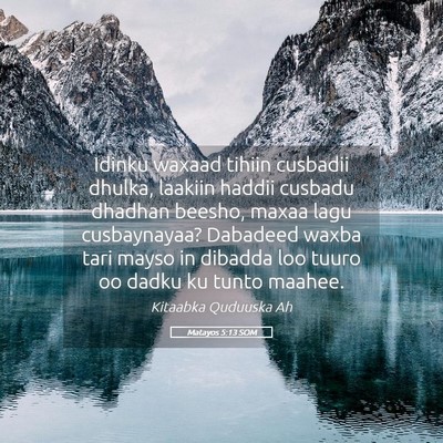 Picture 05 - Matayos 5:13 SOM - Idinku waxaad tihiin cusbadii dhulka, laakiin - Bible Verse Picture