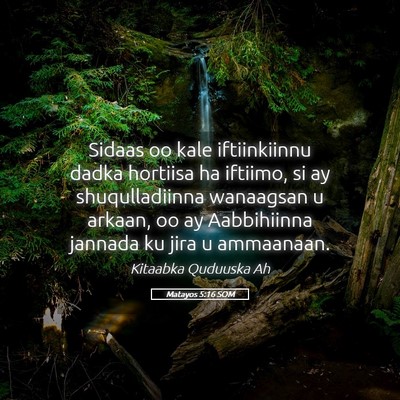 Picture 05 - Matayos 5:16 SOM - Sidaas oo kale iftiinkiinnu dadka hortiisa ha - Bible Verse Picture