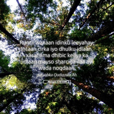 Picture 05 - Matayos 5:18 SOM - Runtii waxaan idinku leeyahay, Intaan cirka iyo - Bible Verse Picture