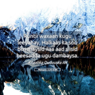Picture 05 - Matayos 5:26 SOM - Runtii waxaan kugu leeyahay, Halkaas ka soo bixi - Bible Verse Picture