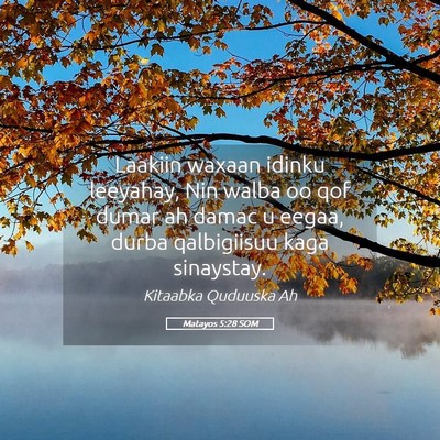 Picture 05 - Matayos 5:28 SOM - Laakiin waxaan idinku leeyahay, Nin walba oo qof - Bible Verse Picture