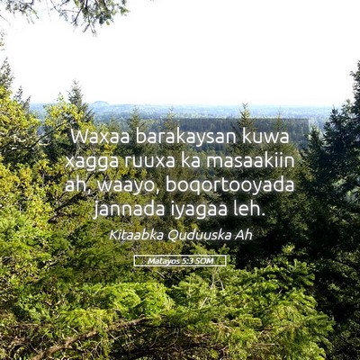Picture 05 - Matayos 5:3 SOM - Waxaa barakaysan kuwa xagga ruuxa ka masaakiin - Bible Verse Picture