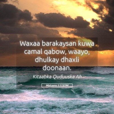 Picture 05 - Matayos 5:5 SOM - Waxaa barakaysan kuwa camal qabow, waayo, dhulkay - Bible Verse Picture