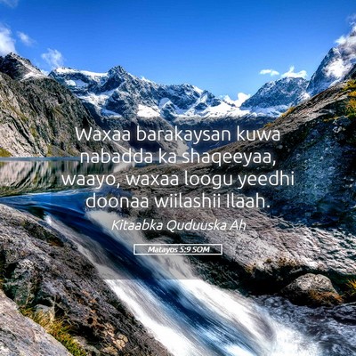 Picture 05 - Matayos 5:9 SOM - Waxaa barakaysan kuwa nabadda ka shaqeeyaa, - Bible Verse Picture