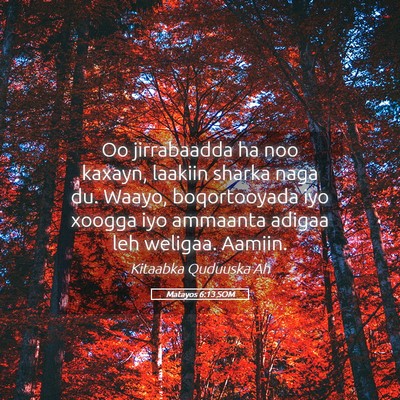 Picture 05 - Matayos 6:13 SOM - Oo jirrabaadda ha noo kaxayn, laakiin sharka naga - Bible Verse Picture