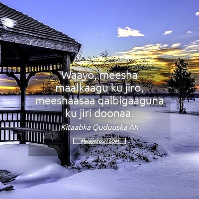 Picture 05 - Matayos 6:21 SOM - Waayo, meesha maalkaagu ku jiro, meeshaasaa - Bible Verse Picture