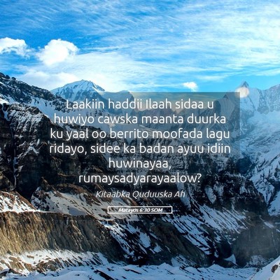 Picture 05 - Matayos 6:30 SOM - Laakiin haddii Ilaah sidaa u huwiyo cawska maanta - Bible Verse Picture
