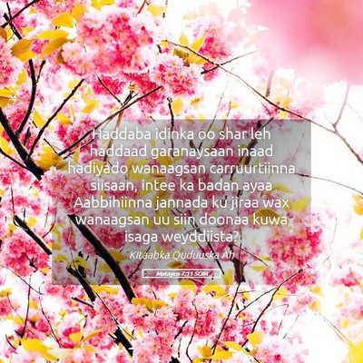 Picture 05 - Matayos 7:11 SOM - Haddaba idinka oo shar leh haddaad garanaysaan - Bible Verse Picture