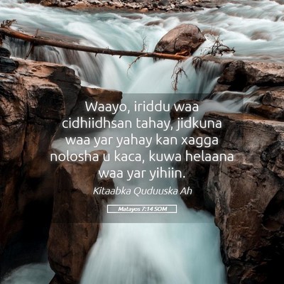 Picture 05 - Matayos 7:14 SOM - Waayo, iriddu waa cidhiidhsan tahay, jidkuna waa - Bible Verse Picture