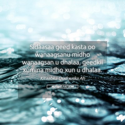 Picture 05 - Matayos 7:17 SOM - Sidaasaa geed kasta oo wanaagsanu midho wanaagsan - Bible Verse Picture