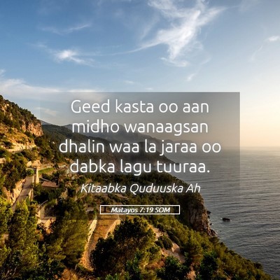 Picture 05 - Matayos 7:19 SOM - Geed kasta oo aan midho wanaagsan dhalin waa la - Bible Verse Picture