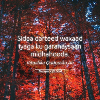 Picture 05 - Matayos 7:20 SOM - Sidaa darteed waxaad iyaga ku garanaysaan - Bible Verse Picture