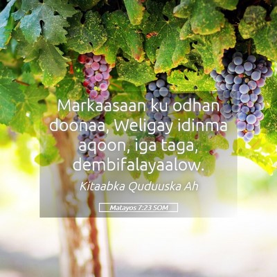 Picture 05 - Matayos 7:23 SOM - Markaasaan ku odhan doonaa, Weligay idinma aqoon, - Bible Verse Picture