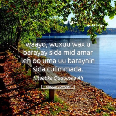 Picture 05 - Matayos 7:29 SOM - waayo, wuxuu wax u barayay sida mid amar leh oo - Bible Verse Picture