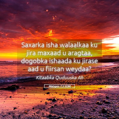 Picture 05 - Matayos 7:3 SOM - Saxarka isha walaalkaa ku jira maxaad u aragtaa, - Bible Verse Picture