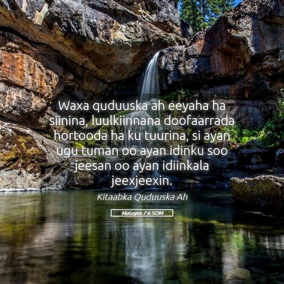 Picture 05 - Matayos 7:6 SOM - Waxa quduuska ah eeyaha ha siinina, luulkiinnana - Bible Verse Picture