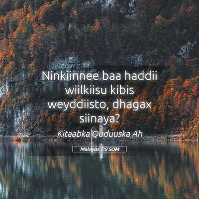 Picture 05 - Matayos 7:9 SOM - Ninkiinnee baa haddii wiilkiisu kibis weyddiisto, - Bible Verse Picture