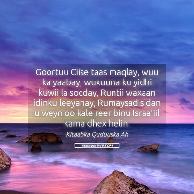 Picture 05 - Matayos 8:10 SOM - Goortuu Ciise taas maqlay, wuu ka yaabay, wuxuuna - Bible Verse Picture