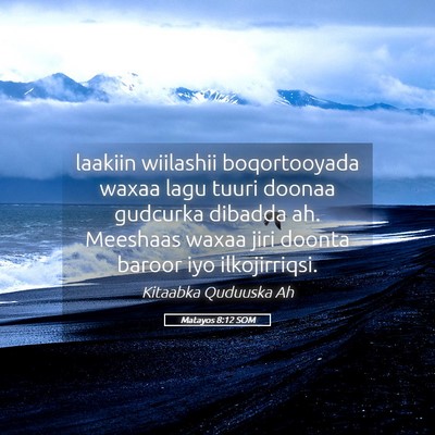 Picture 05 - Matayos 8:12 SOM - laakiin wiilashii boqortooyada waxaa lagu tuuri - Bible Verse Picture