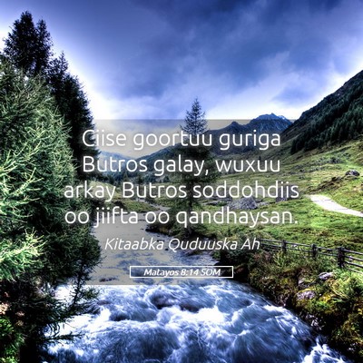 Picture 05 - Matayos 8:14 SOM - Ciise goortuu guriga Butros galay, wuxuu arkay - Bible Verse Picture
