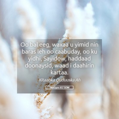 Picture 05 - Matayos 8:2 SOM - Oo bal eeg, waxaa u yimid nin baras leh oo - Bible Verse Picture
