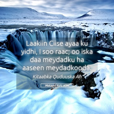 Picture 05 - Matayos 8:22 SOM - Laakiin Ciise ayaa ku yidhi, I soo raac; oo iska - Bible Verse Picture