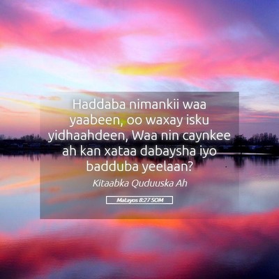 Picture 05 - Matayos 8:27 SOM - Haddaba nimankii waa yaabeen, oo waxay isku - Bible Verse Picture