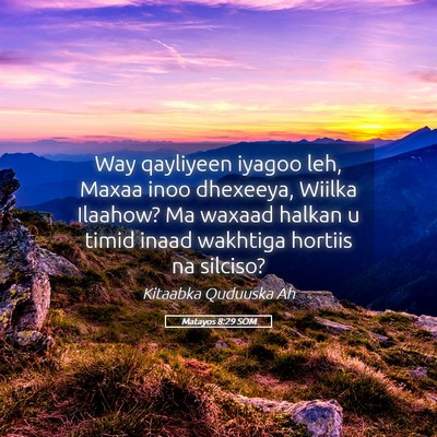 Picture 05 - Matayos 8:29 SOM - Way qayliyeen iyagoo leh, Maxaa inoo dhexeeya, - Bible Verse Picture