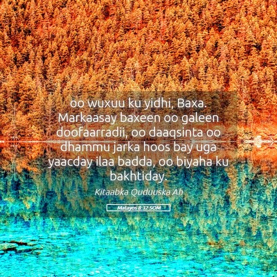 Picture 05 - Matayos 8:32 SOM - oo wuxuu ku yidhi, Baxa. Markaasay baxeen oo - Bible Verse Picture