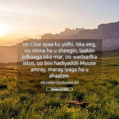 Picture 05 - Matayos 8:4 SOM - oo Ciise ayaa ku yidhi, Iska eeg, oo ninna ha u - Bible Verse Picture