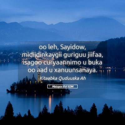 Picture 05 - Matayos 8:6 SOM - oo leh, Sayidow, midiidinkaygii guriguu jiifaa, - Bible Verse Picture