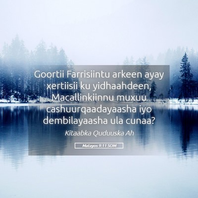 Picture 05 - Matayos 9:11 SOM - Goortii Farrisiintu arkeen ayay xertiisii ku - Bible Verse Picture