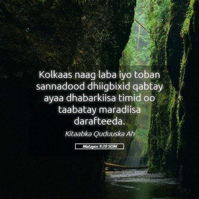 Picture 05 - Matayos 9:20 SOM - Kolkaas naag laba iyo toban sannadood dhiigbixid - Bible Verse Picture