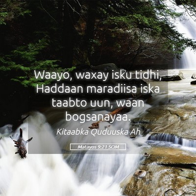 Picture 05 - Matayos 9:21 SOM - Waayo, waxay isku tidhi, Haddaan maradiisa iska - Bible Verse Picture