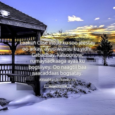 Picture 05 - Matayos 9:22 SOM - Laakiin Ciise intuu ku soo jeestay oo arkay, ayuu - Bible Verse Picture